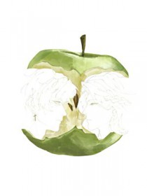 在?把婚离了,我想上位