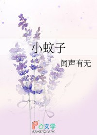 小蚊子
