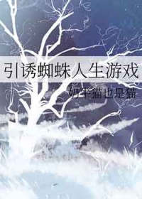 [猎人同人] 引诱蜘蛛人生游戏